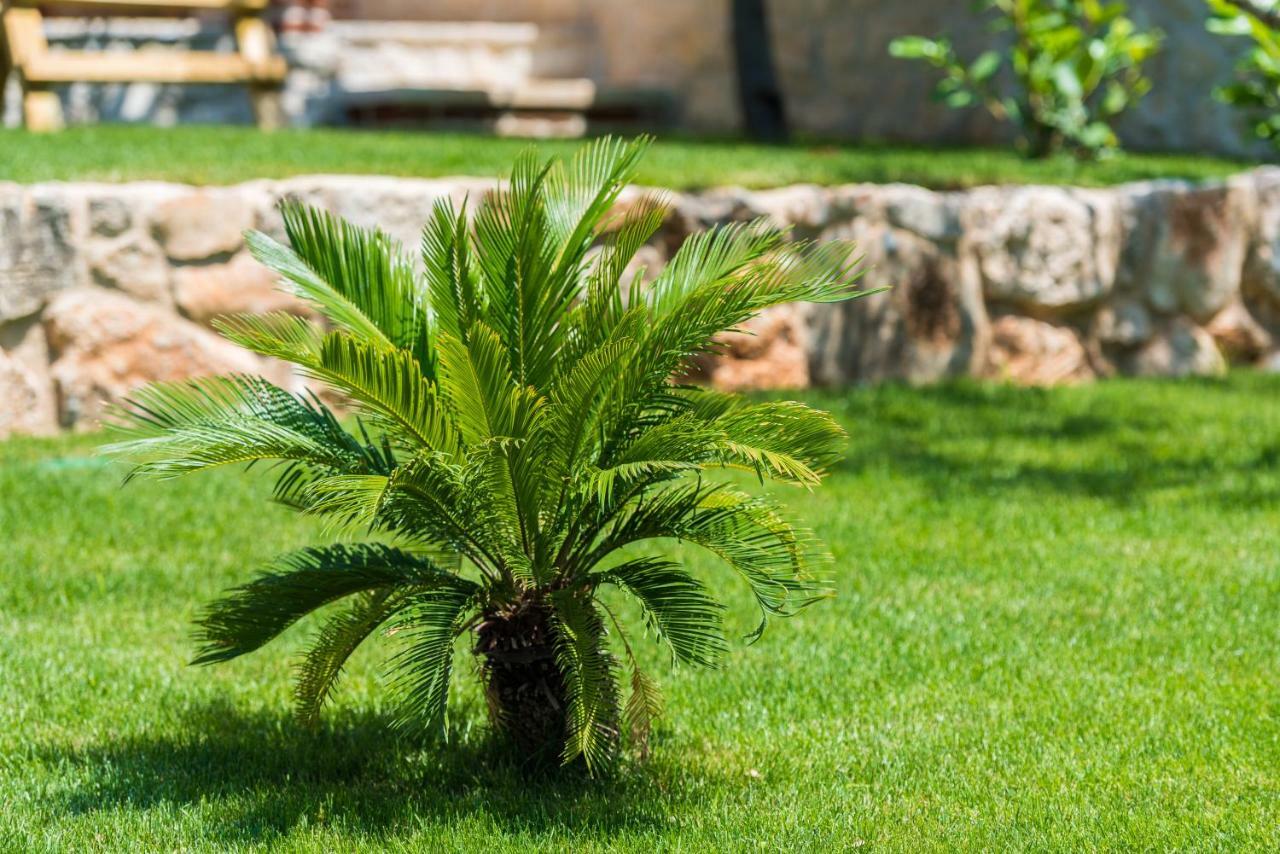 Villa Dumina Sukošan Εξωτερικό φωτογραφία